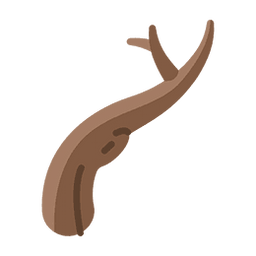 R$ 573,39/Ton - Mandioca